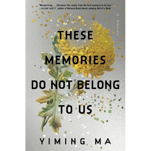 These Memories Do Not Belong to Us: A Constellation Novel, (Hardcover)