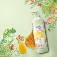 thumbnail image 4 of Champú Suave Kids Natural para cabello rizado con miel de almendras dulces, 490 ml, 4 of 4