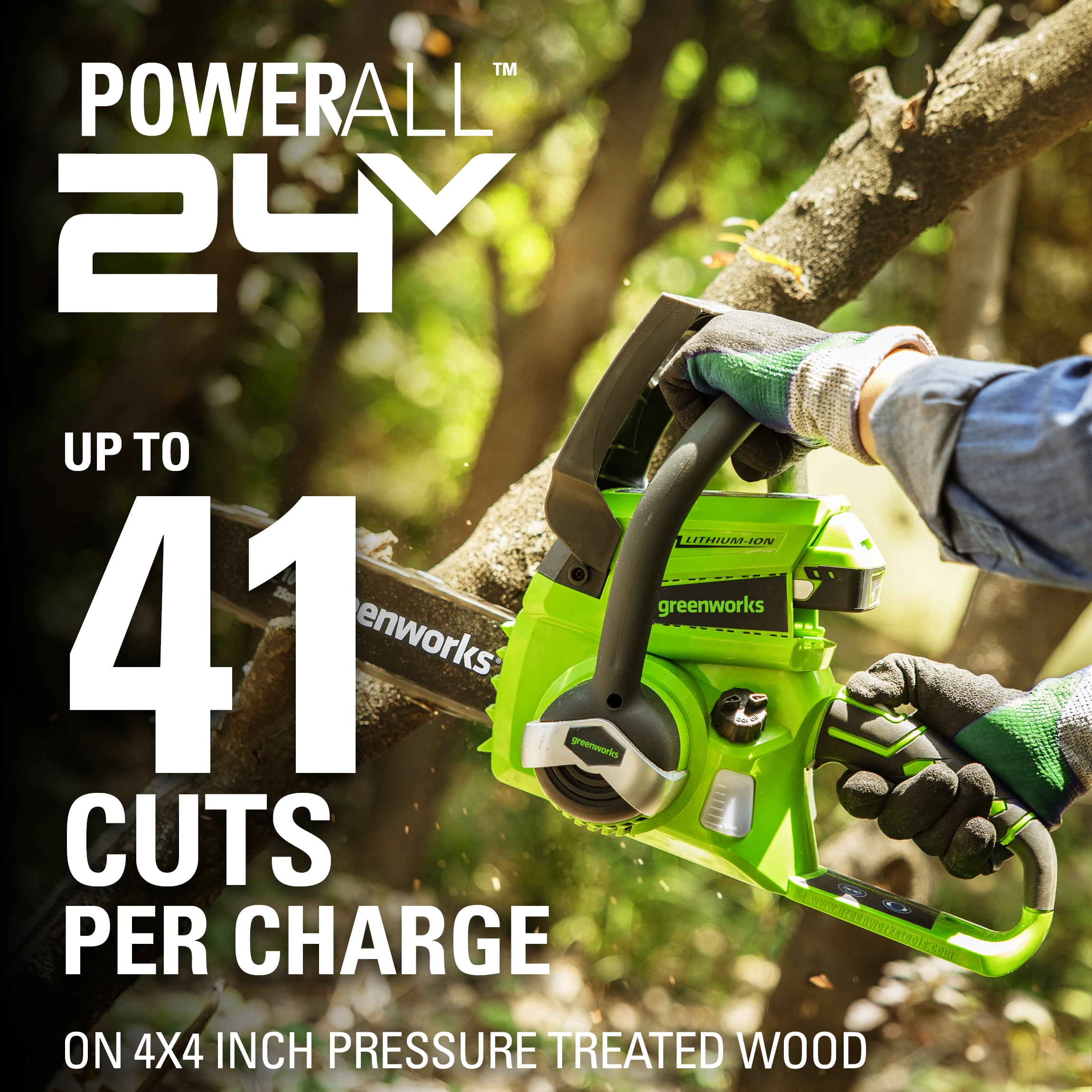 Cordless Chainsaw with 2.0 Ah Battery 
