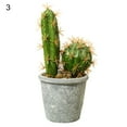 thumbnail image 1 of Visland Fake Plant Decorative Beautiful Realistic Potted Plants Fake Desktop Cactus Landscape Decor for Home, 1 of 3
