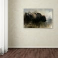 thumbnail image 4 of Trademark Fine Art Jai Johnson Abstract American Bison Canvas Wall Art - 12x19, 4 of 4