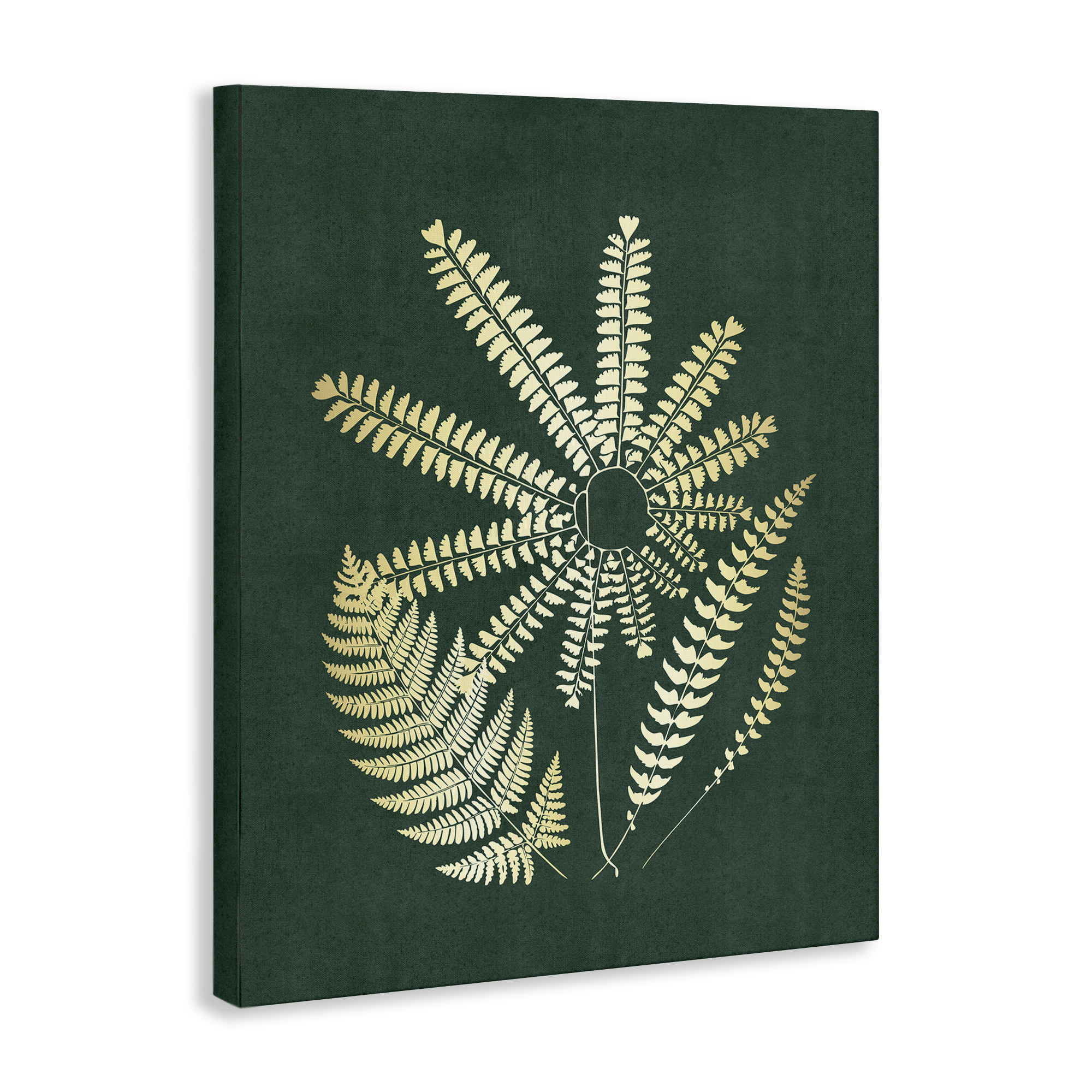 Stupell Industries Fern Sprigs Flower Shape Plants & Flowers Painting Wrapped Canvas Art Print Wall Art, 36 x 48
