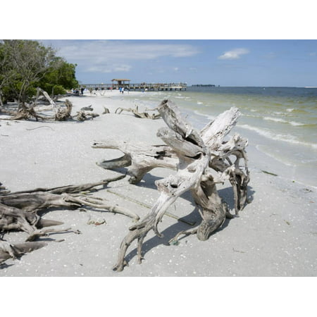 Driftwood on Beach with Fishing Pier in Background, Sanibel Island, Gulf Coast, Florida Print Wall Art By Robert (Best Florida Gulf Coast Beaches)