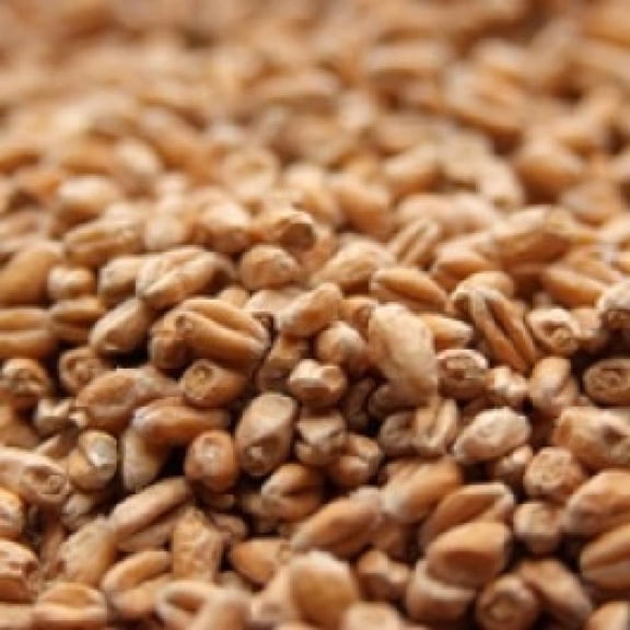 Weyermann Pale Wheat Malt - 10 LB, Uncrushed