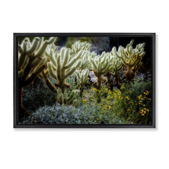 Stupell Industries Desert Cactus Forest Landscape Photography Black Floater Framed Canvas Art Print Wall Art, 25 x 17