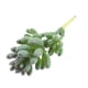 thumbnail image 4 of Adornos de Bricoje Suculentas Artificiales de Moda para Accesorios de Fotografía de Decoración de Jardín en hogar 1pc 9 11cm perfecl Plantas Suculentas de Simulación, 4 of 6