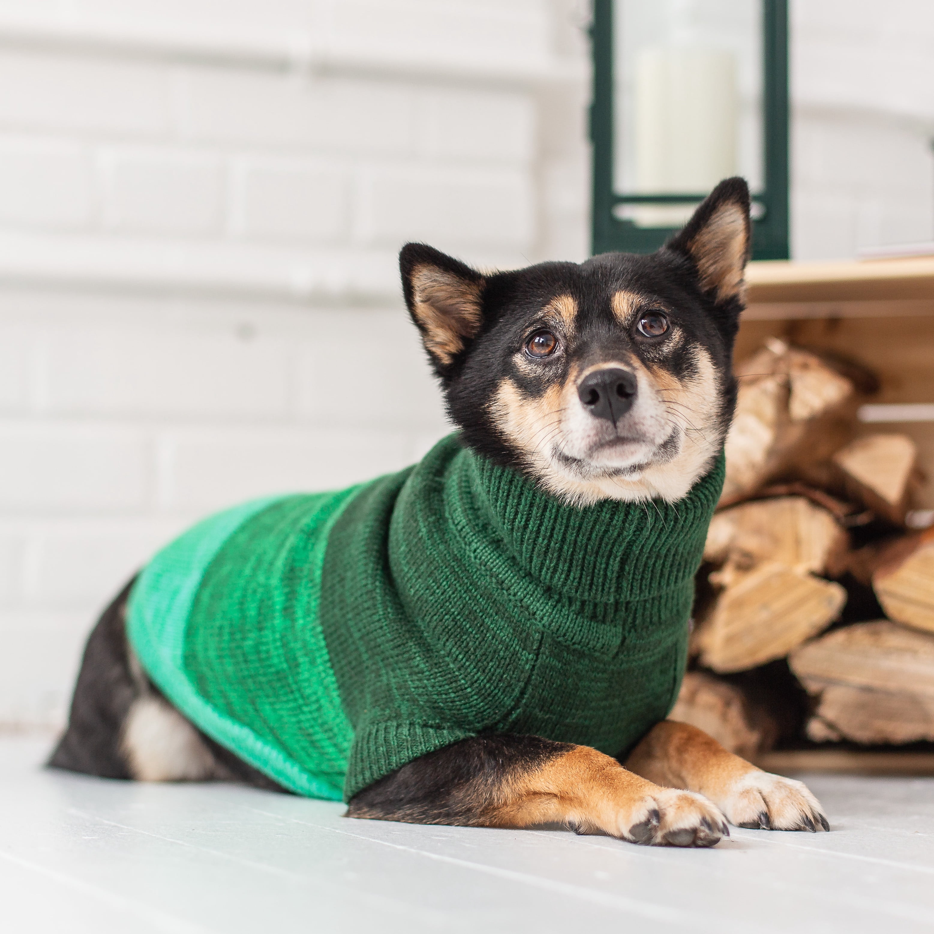 GF PET Trail Dog Sweater Apparel for Small Medium Large Dogs Pets, Forest, XL