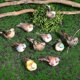 thumbnail image 2 of 10 Pcs Artificial Birds Simulated Bird Models Fake Bird Decorations Easter Figures with Clips Craft Birds Photography Props, 2 of 4
