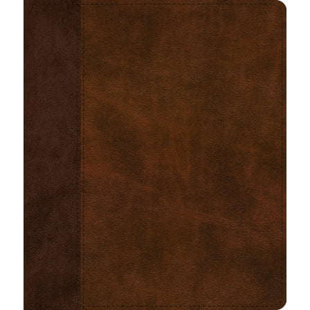 ESV Journaling Bible (Trutone, Brown/Tan, Timeless Design), (Hardcover)