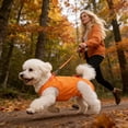 thumbnail image 7 of Dog Lift Harness Adjustable Pet Support Sling for Senior Dogs Breathable Mesh Walking Accessory for Small Medium Dogs and Pet Owners Use, 7 of 7