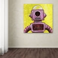 thumbnail image 3 of Trademark Fine Art 'Mehbot' Canvas Art by Craig Snodgrass, 3 of 3