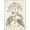 Unframed, variant on Art.com Antique Sepia Botanicals III Art Print by 0 Unknown, Black Frame Wall Art, 17" x 21"