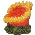 thumbnail image 5 of Komodo Orange and Yellow Starburst Coral Aquarium Decor, 5 of 8