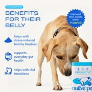 Native Pet Probiotics for Dogs Supplement for Gut Health & Digestive Support, 6.0 oz