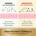 thumbnail image 6 of VetriScience Extra Strength Gut Health Capsules for Dogs & Cats, 180 Count, 6 of 12