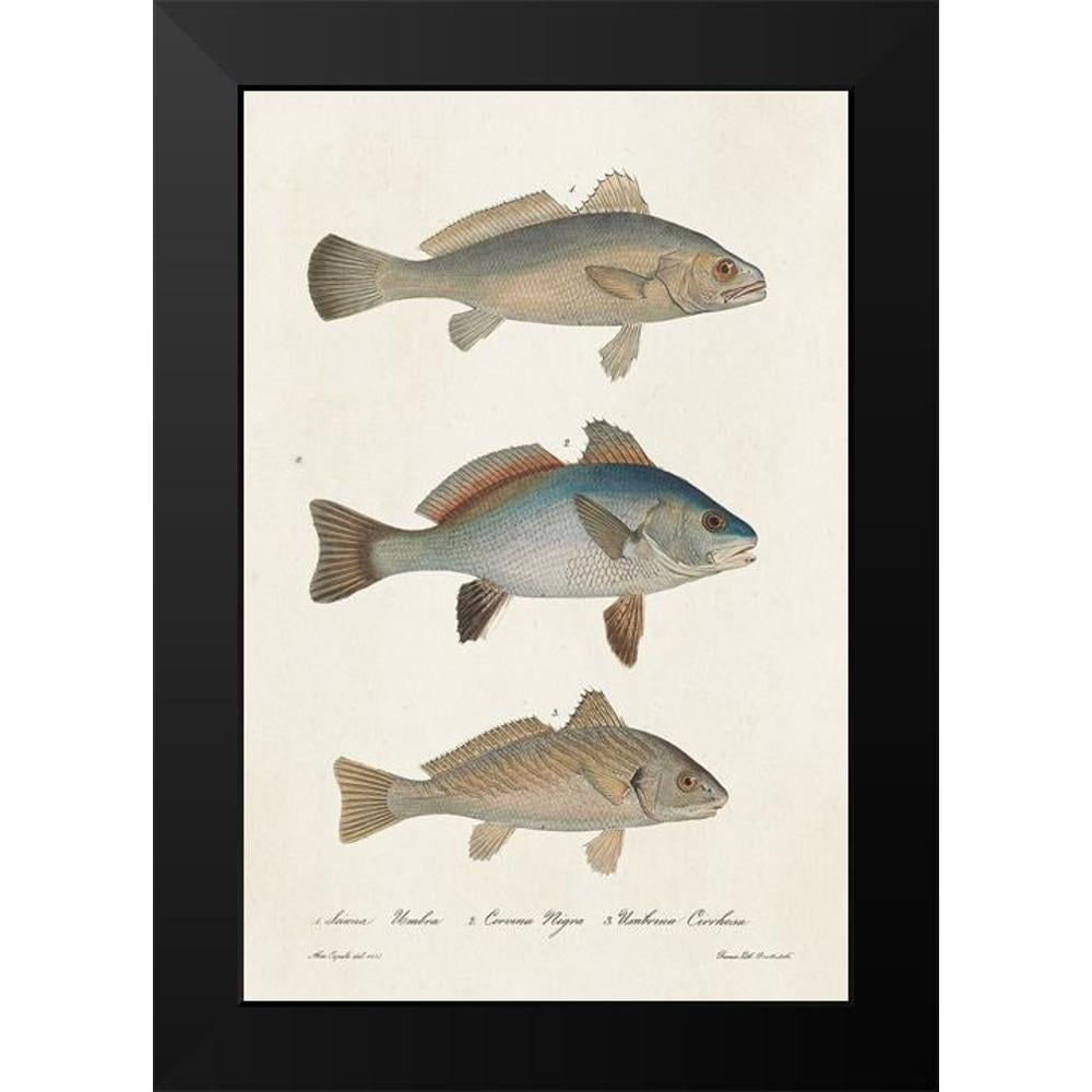Unknown 17x24 Black Modern Framed Museum Art Print Titled