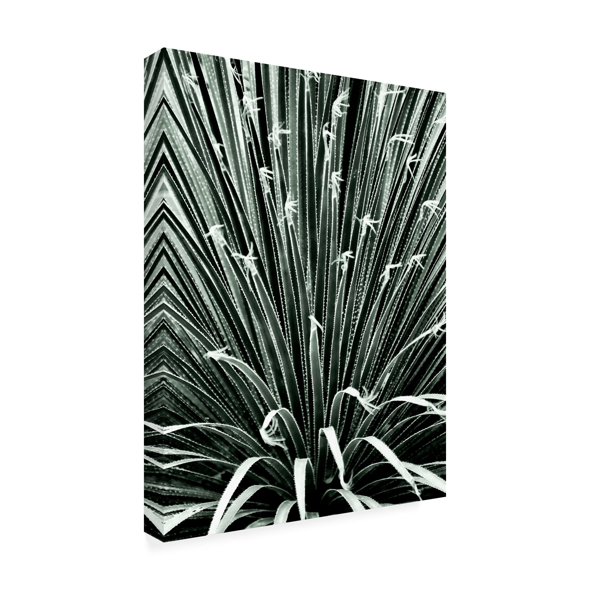 Trademark Fine Art 'Leaf V' Canvas Art by Incado