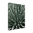thumbnail image 2 of Trademark Fine Art 'Leaf V' Canvas Art by Incado, 2 of 3