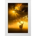 thumbnail image 1 of Uddin, Kutub 11x14 White Modern Wood Framed Museum Art Print Titled - Mist on tree cant stop sunshine, 1 of 4