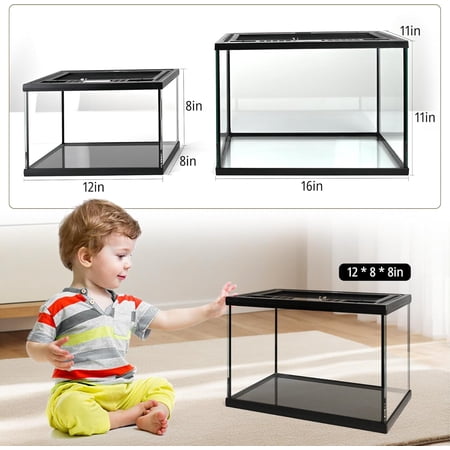 5-in-1 Small Reptile Enclosure Kit – 12x8x8in Full View Glass Terrarium Tank w/Thermo-Hygrometer, Hide & Tongs for Jumping Spiders, Hermit Crabs, Tarantula & Dwarf Gecko