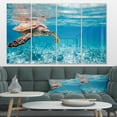 thumbnail image 3 of Designart 'Large Hawksbill Sea Turtle' Metal Wall Art, 3 of 3