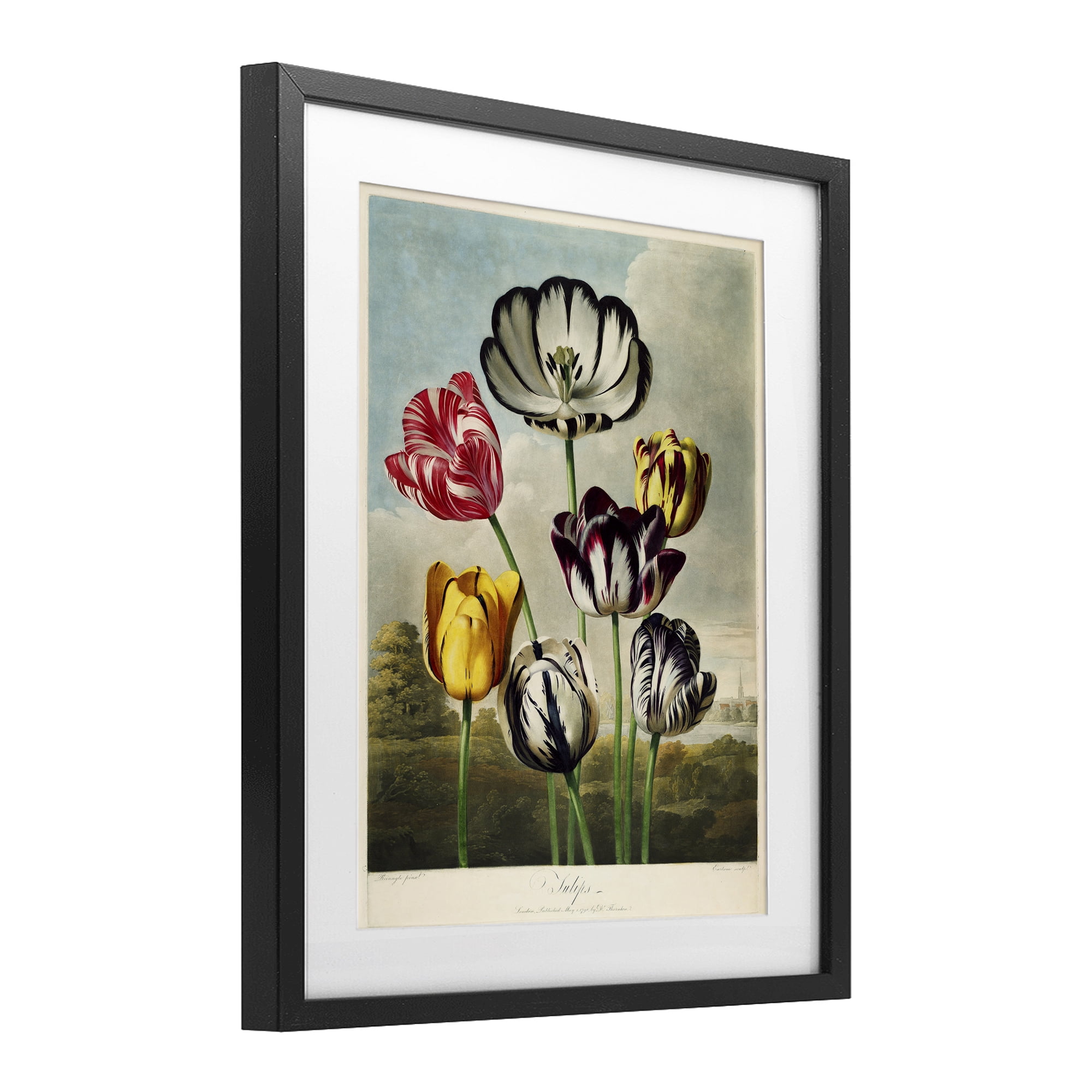 Stupell Industries Tulips From The Temple Black Framed Print Under Glass, design by Print Collection