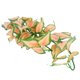 thumbnail image 2 of Planta simulada de ratán, simulación de plantas acuáticas, ratán, pecera, paisajismo, planta de plástico, ratán, valor excepcional Jadeshay A, 2 of 8