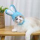 thumbnail image 2 of Wdftyju Divertido mascota perro gato gorra disfraz cálido conejo fiesta de año nuevo Navidad Cosplay sombrero Wdftyju 6js3wd8yg3cw6dm3D03, 2 of 6