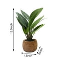 thumbnail image 3 of Nature's Mark 16.9”H Artificial Birds of Paradise Greenery Plant in Cement Woven Look Pot, 3 of 5