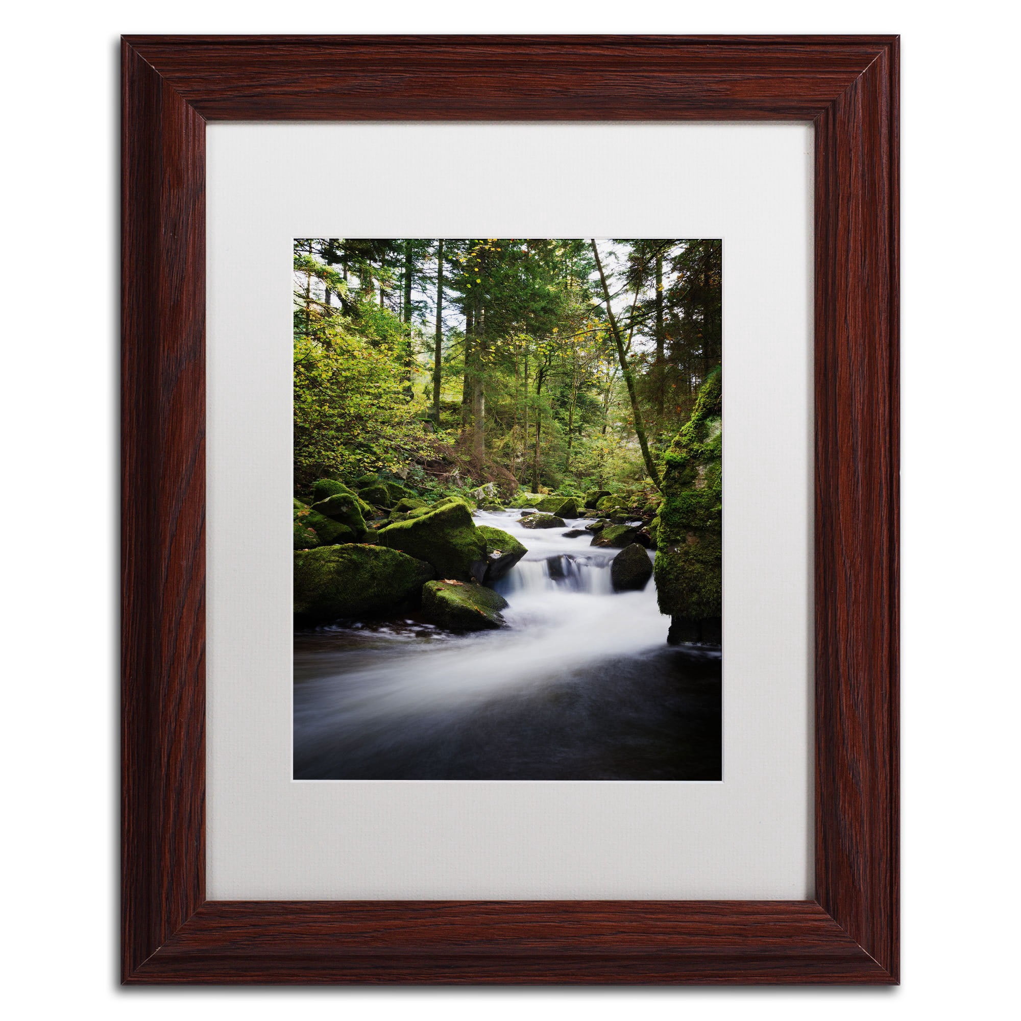 Trademark Fine Art "Still Fall" Canvas Art by Philippe Sainte-Laudy, White Matte, Wood Frame