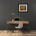 thumbnail image 3 of Terrill, Steve 32x26 Black Ornate Wood Framed with Double Matting Museum Art Print Titled - Vermont, St Johnsbury Hillside Trees and homes, 3 of 4