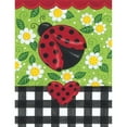 thumbnail image 3 of Deb Strain 12x14 Black Modern Framed Museum Art Print Titled - Ladybug And Plaid, 3 of 5