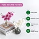 thumbnail image 3 of Flores artificiales Oairse de orquídeas blancas con jarrón de vidrio negro, 3 of 7