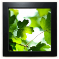 thumbnail image 1 of Sunshine Picture Nature Black Square Frame Picture Wall Tabletop, 1 of 3