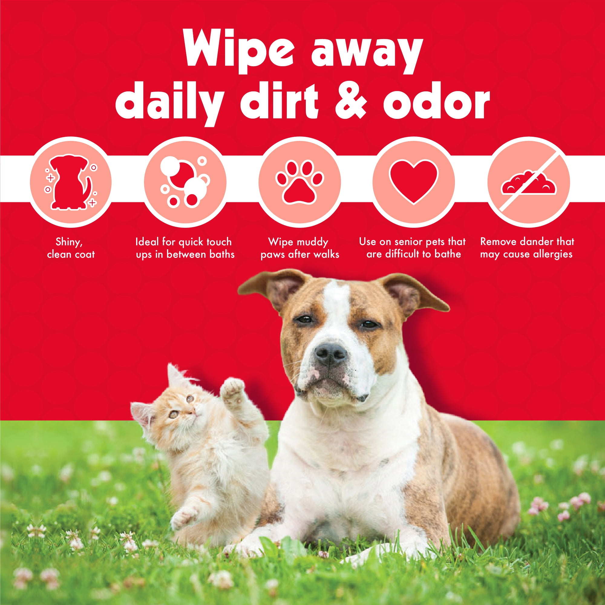 Large top dog wipes
