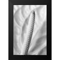 thumbnail image 2 of 1x Studio III 11x14 Black Modern Framed Museum Art Print Titled - Flammingo Flower, 2 of 5