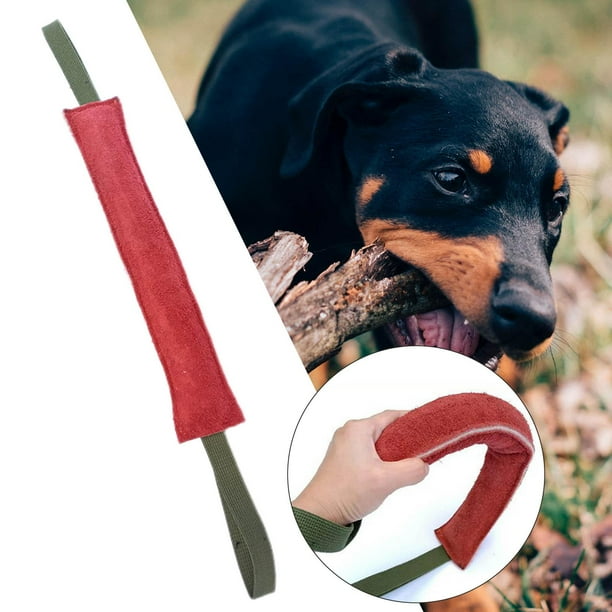 Juguete para de perro, almohada para de entrenamiento, palo de