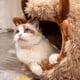 thumbnail image 5 of pstuiky Cama para mascotas tipo cueva semicerrada, cálida y desmontable, ideal para que las mascotas pequeñas duerman durante el otoño y el invierno., 5 of 7