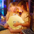 thumbnail image 5 of 2026 New Cartoon Doll Plush Toys, Stuffed Animals Toys Cartoon Doll Soft Pillow Toys, Lemon Jun Throw Pillows Are Specially Designed, Birthday Gifts for Holiday Xmas Easter for Adult, 5 of 6