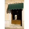 thumbnail image 2 of Kaveney, Wendy 11x14 Gold Ornate Wood Framed with Double Matting Museum Art Print Titled - Italy, Cinque Terre, Monterosso A white dog, 2 of 4