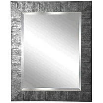 Rayne Safari Silver Wall Mirror