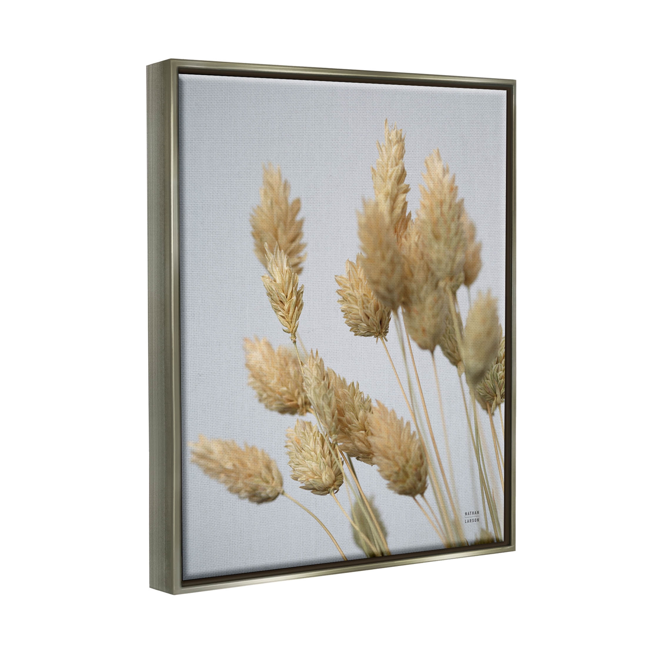 Stupell Industries Calm Pampas Grass Breezy Sky Photograph Luster Gray Floating Framed Canvas Print Wall Art, Design by Nathan Larson