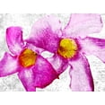 thumbnail image 2 of Tenoever, William 32x25 Gold Ornate Wood Framed with Double Matting Museum Art Print Titled - Flora Obscura 1, 2 of 4