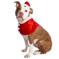 thumbnail image 1 of Disfraz de perro Pet Krewe Christmas Santa con sombrero y collar, 1 of 8