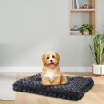 thumbnail image 1 of Cama lavable para perros, perrera, almohadilla de algodón, cómodo colchón para perros, almohadilla para mascotas para dormitorio, sala de estar, hogar M, 1 of 10