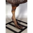 thumbnail image 4 of Emu Life Size Statue, 4 of 8
