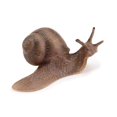 thumbnail image 4 of 2 Piezas Estatua de Caracol de Jardín Estatuilla de Plástico Patio Caracol Artesanía Escultura Animal Decoración para Mini Jardín de Hadas Micro Paisaje Adorno de Tanque de Peces, 4 of 5