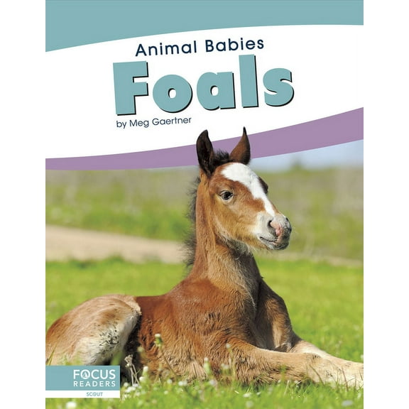 Foals (Paperback)