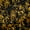 Gold, variant on Feelyou Tribal Dragon Black Out Curtains, Retro Damask Curtains Pack of 2 (42x63 Each)