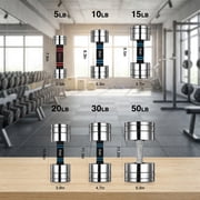 Northdeer Adjustable Dumbbells Pair Steel Weight Set 20lb Weights for Lifting Gym Fitness with Foam Handle, Silver（20lb*2）